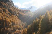 couleurs d'automne couleurs d'automne