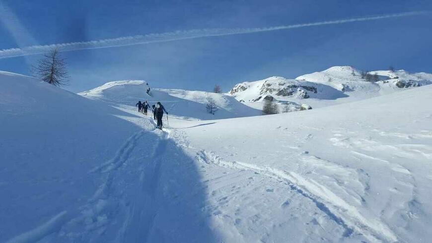 Dans le vallon Dans le vallon